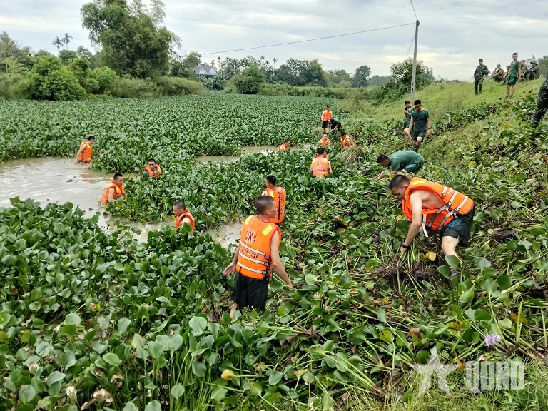 Bộ đội về làng, Sao Vàng đường sáng, bản quang

